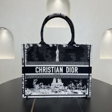 Christian Dior Shopping Bags